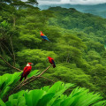 Discover the Rich Biodiversity of Panama City